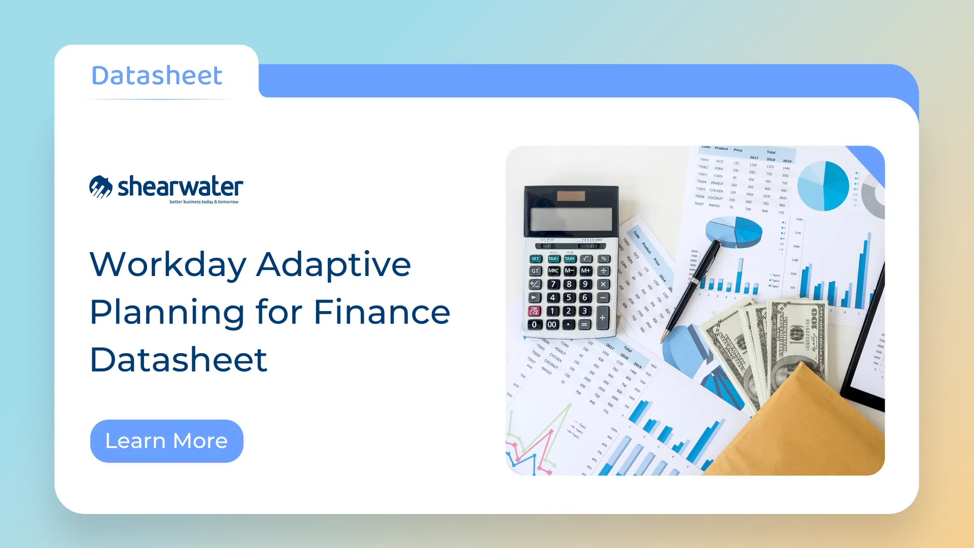 Workday Adaptive Planning for Finance Datasheet - Shearwater Asia